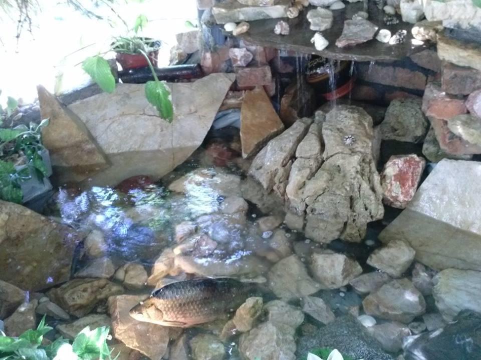 iazuri - 10009605190192181814531882136132n.jpg